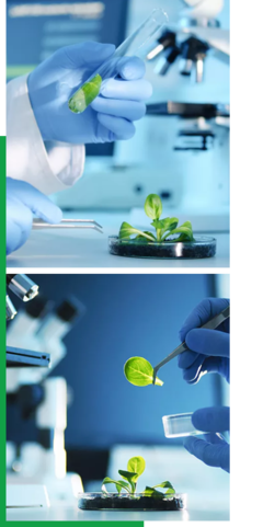 創新驅動，智領未來——我們的企業簡介